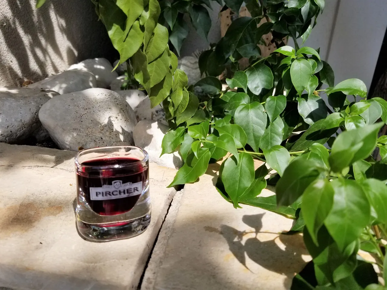 20180819_112922.jpg