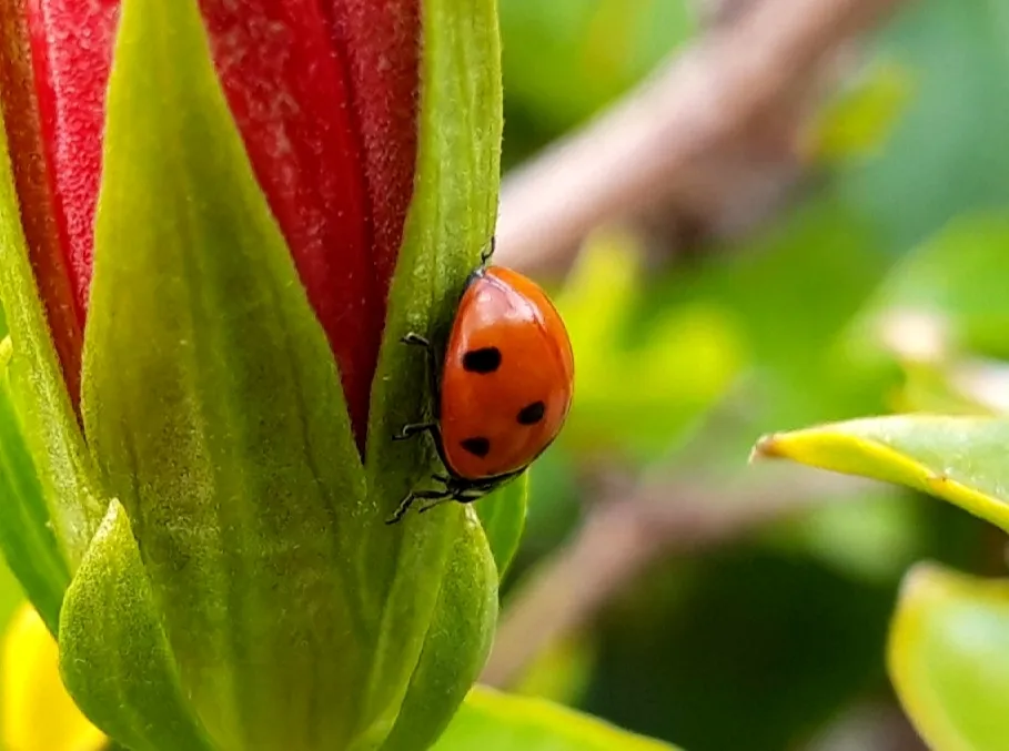 20190726_104442.jpg
