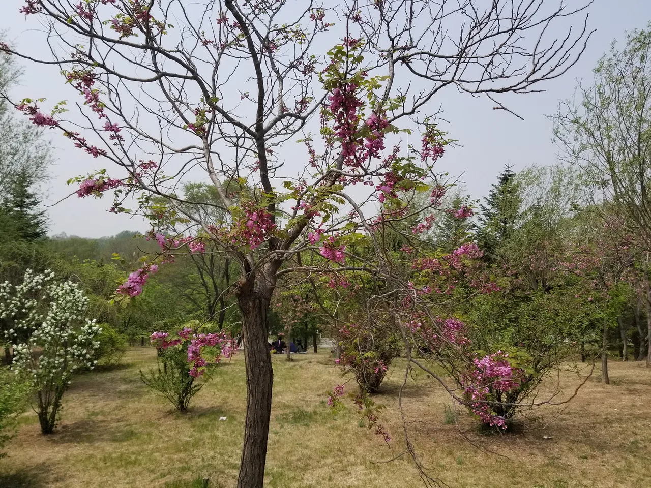 20180513_114504.jpg