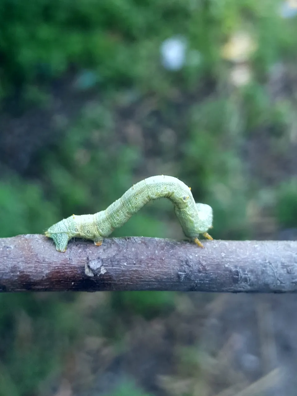 20190504_020426.jpg