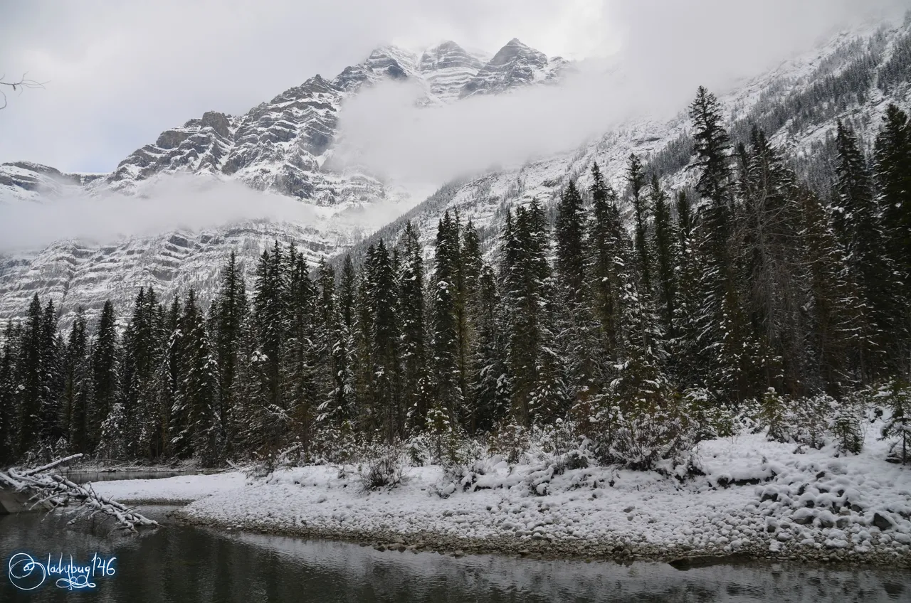 mount robson7.jpg
