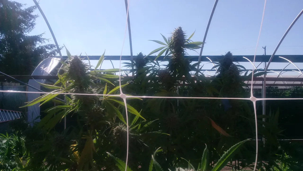 20180827_161830.jpg
