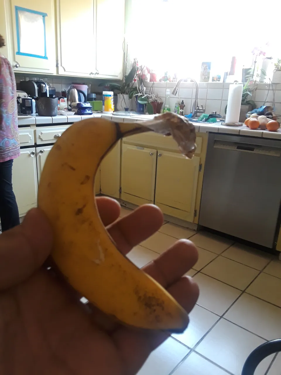 20180604_160456.jpg