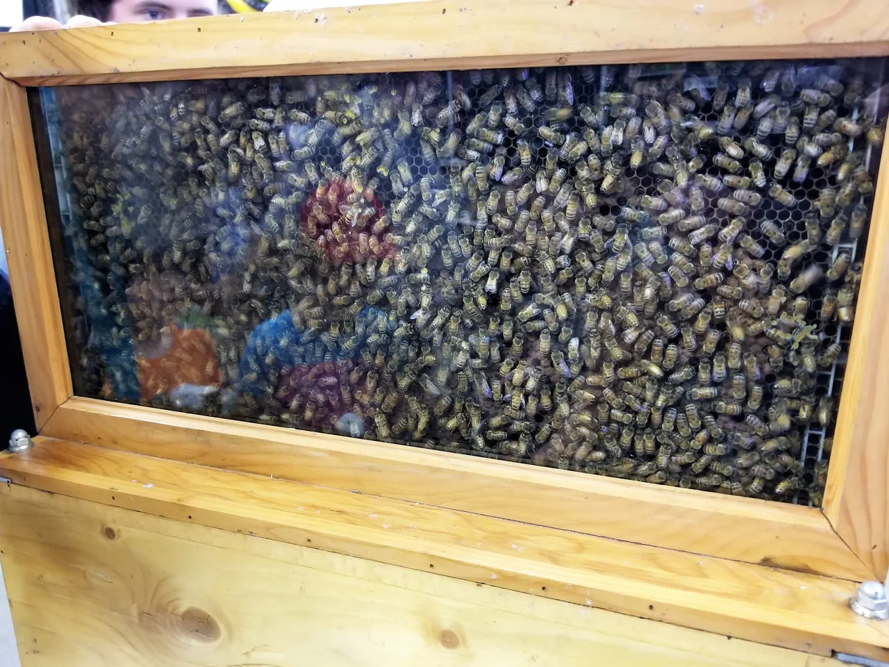 20180707_155842.jpg