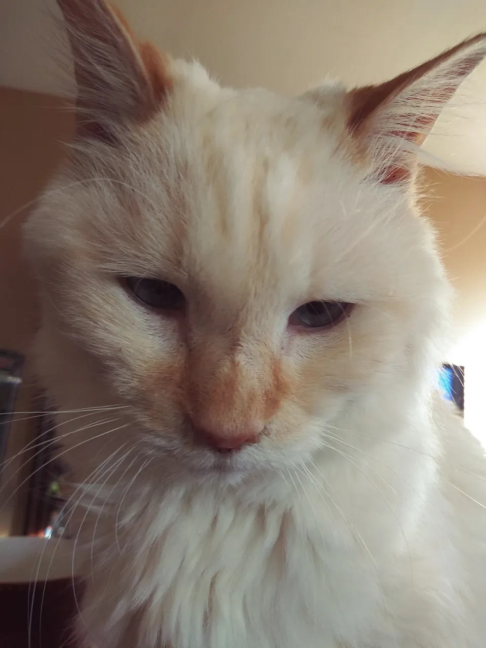 20190220_164502.jpg