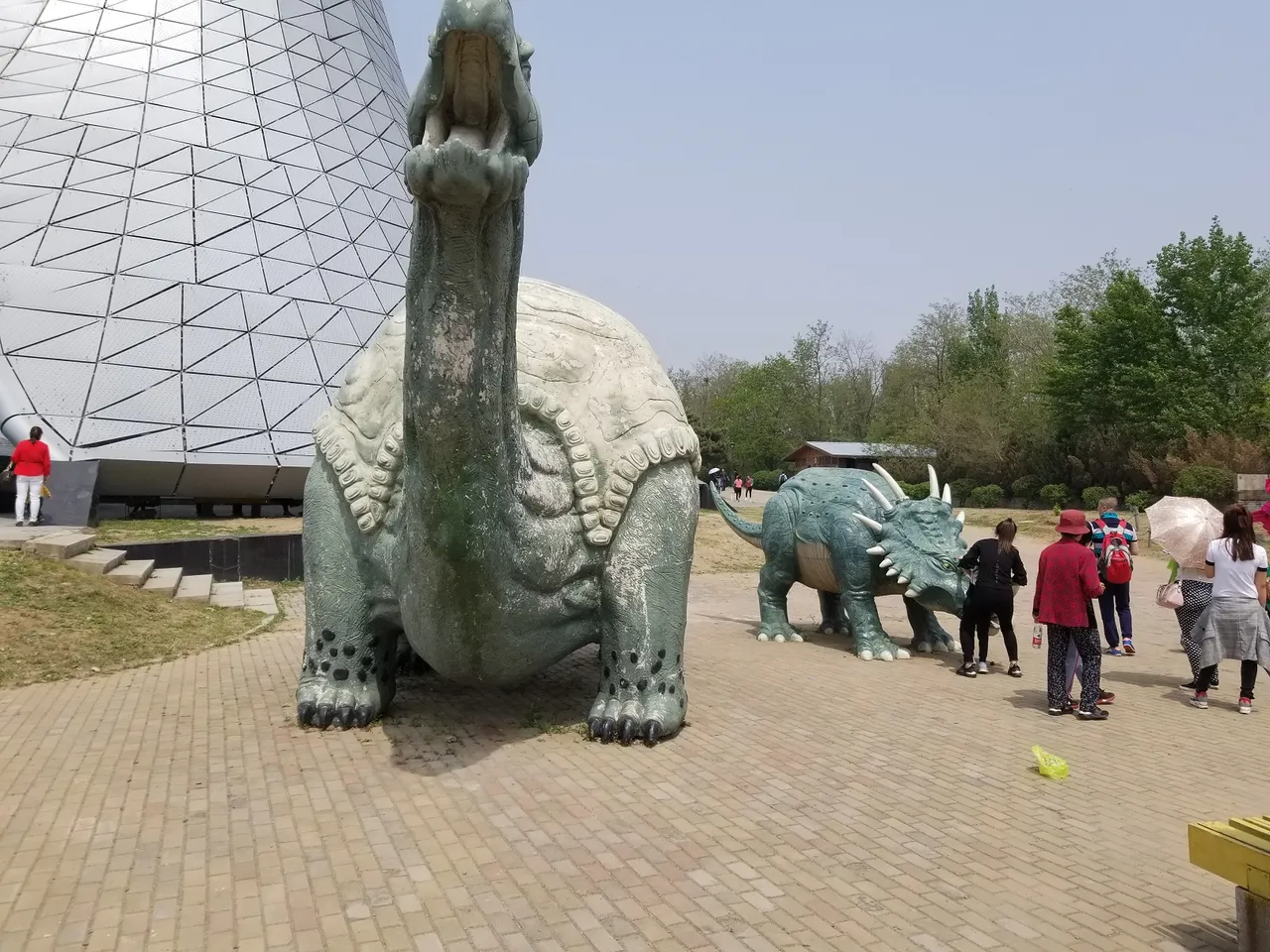20180513_115013.jpg