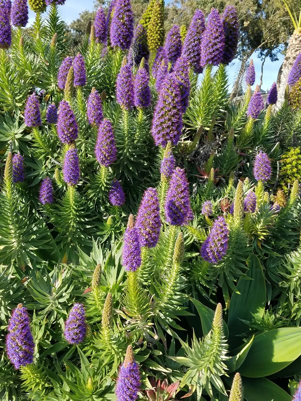 20190416_174643.jpg