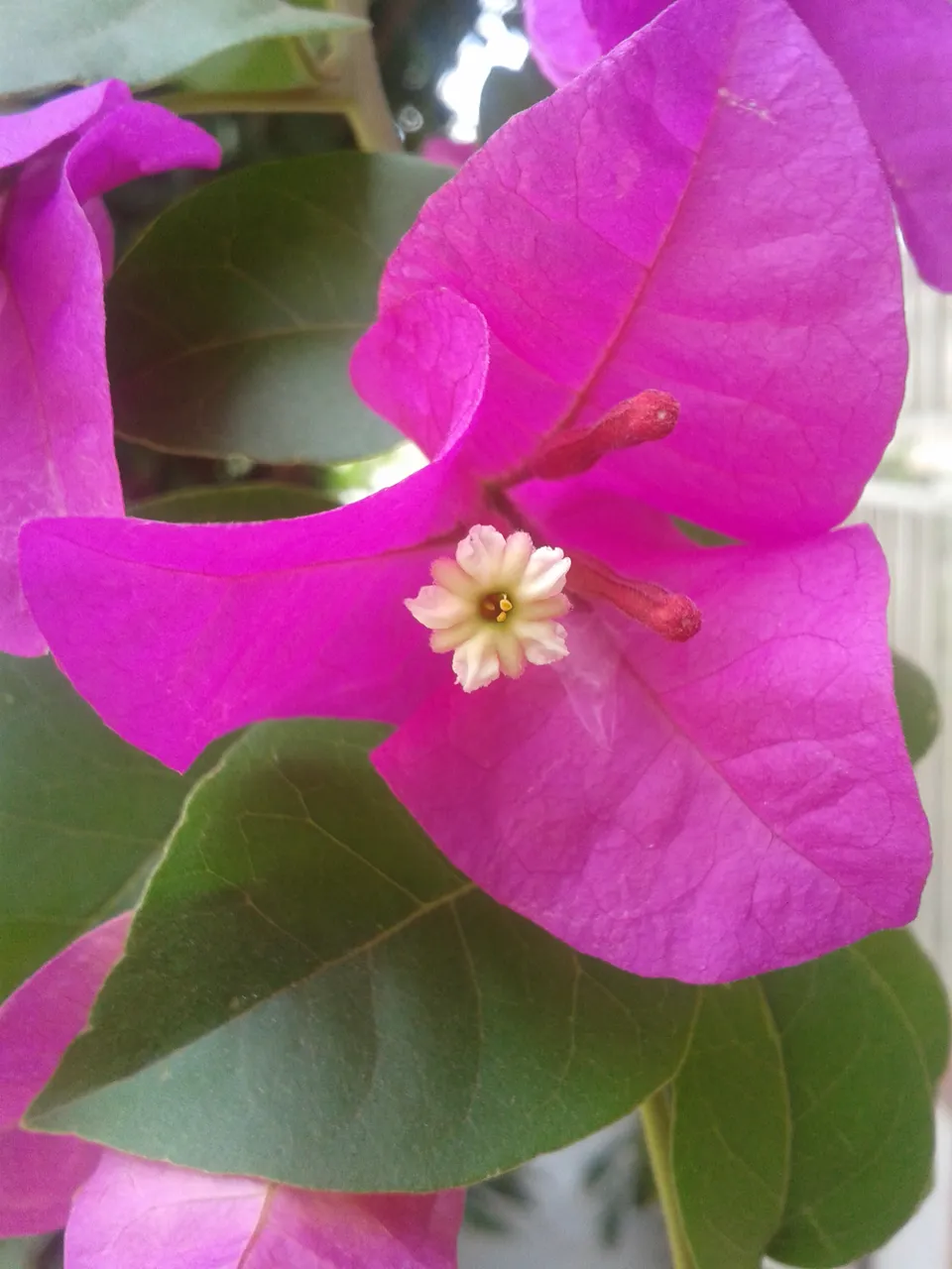 20190314_130236.jpg