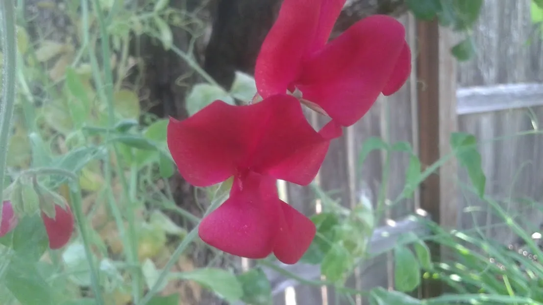 20180606_084311.jpg