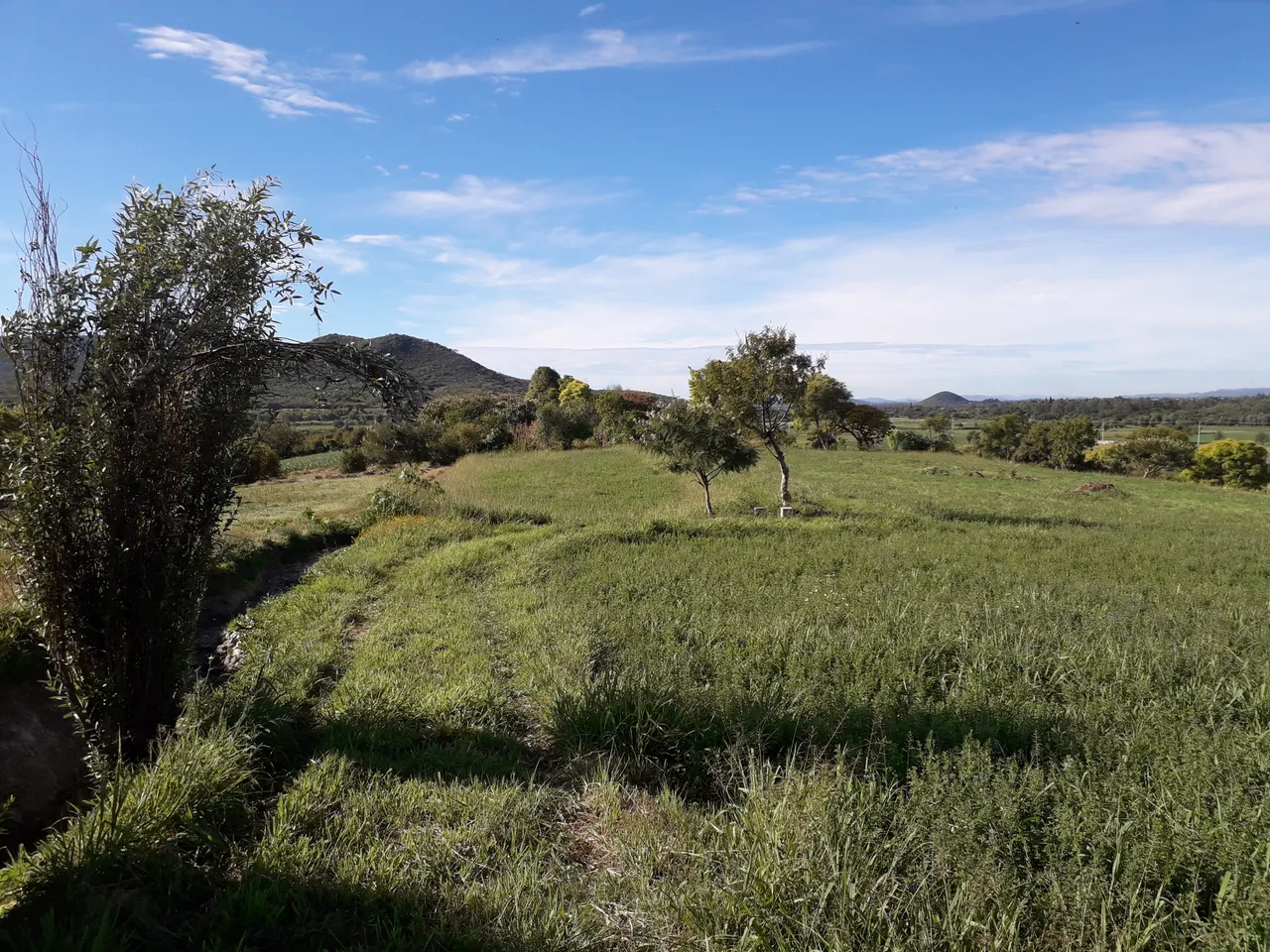 20191113_100524.jpg