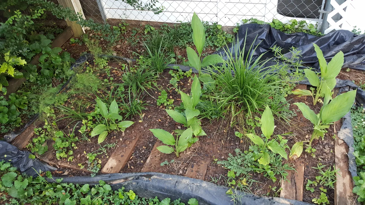 20180707_165059.jpg