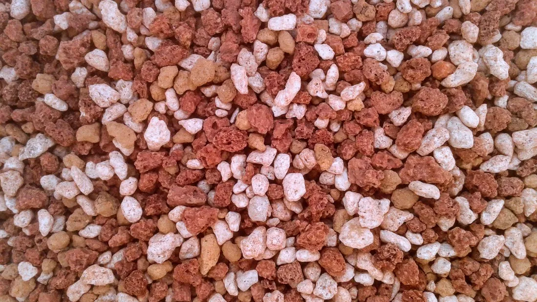 20190302_100844.jpg
