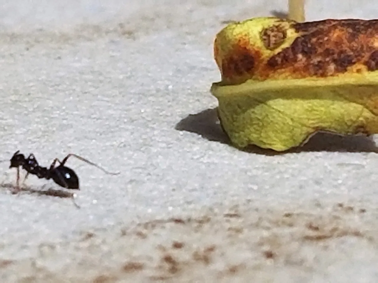 20180812_114941.jpg