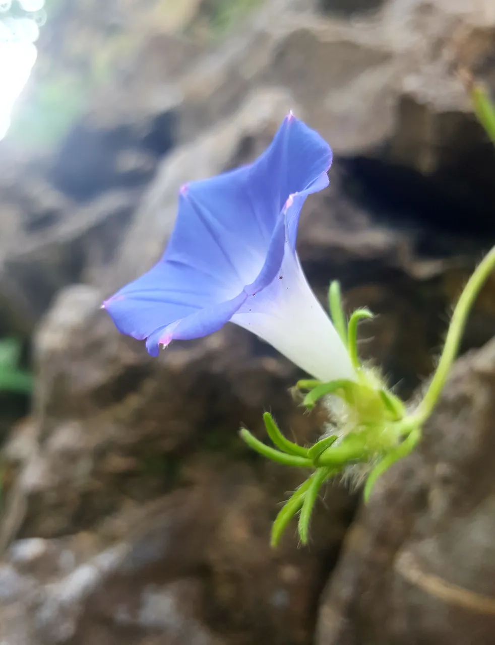 20181229_003537.jpg