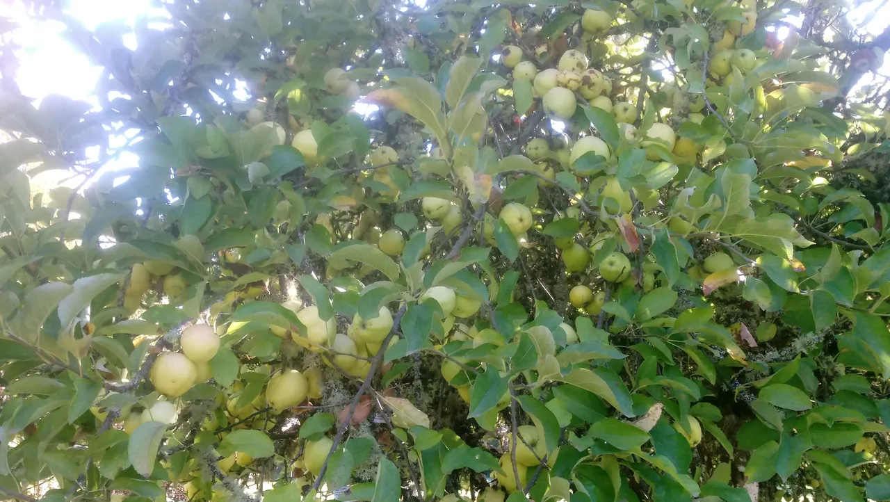 20181010_150711.jpg