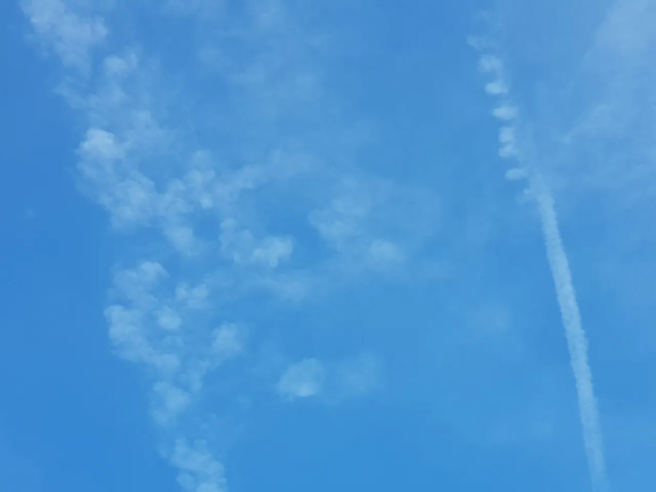 20180809_084211.jpg