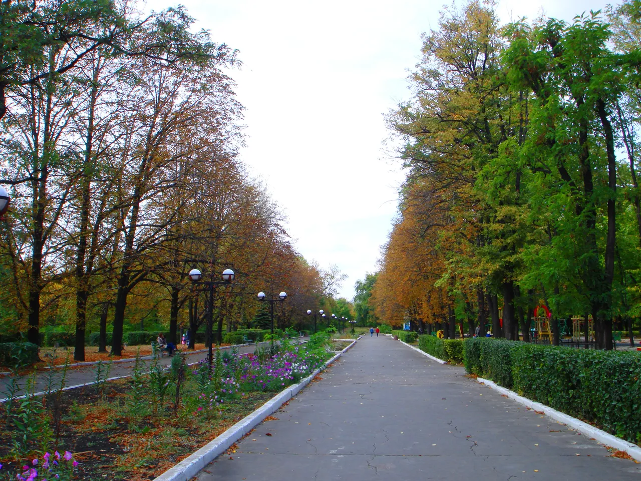 DSC01754-222222.jpg