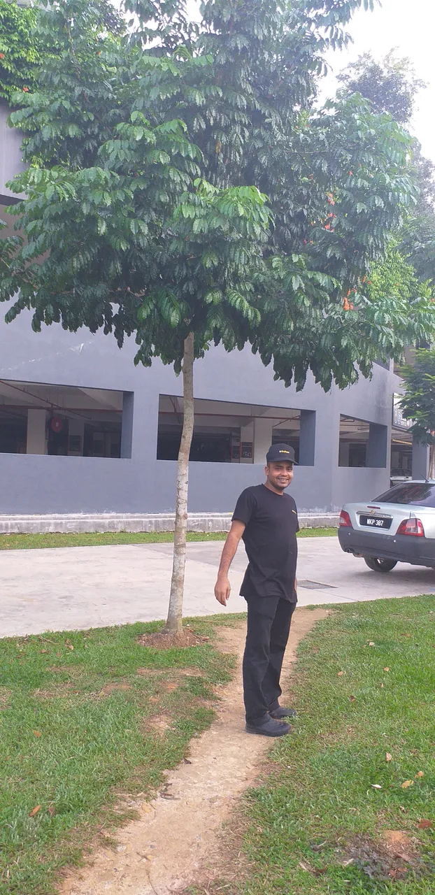 20190710_075004.jpg