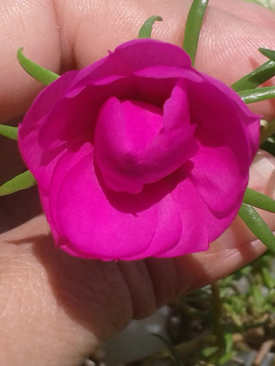 20190926_083204.jpg