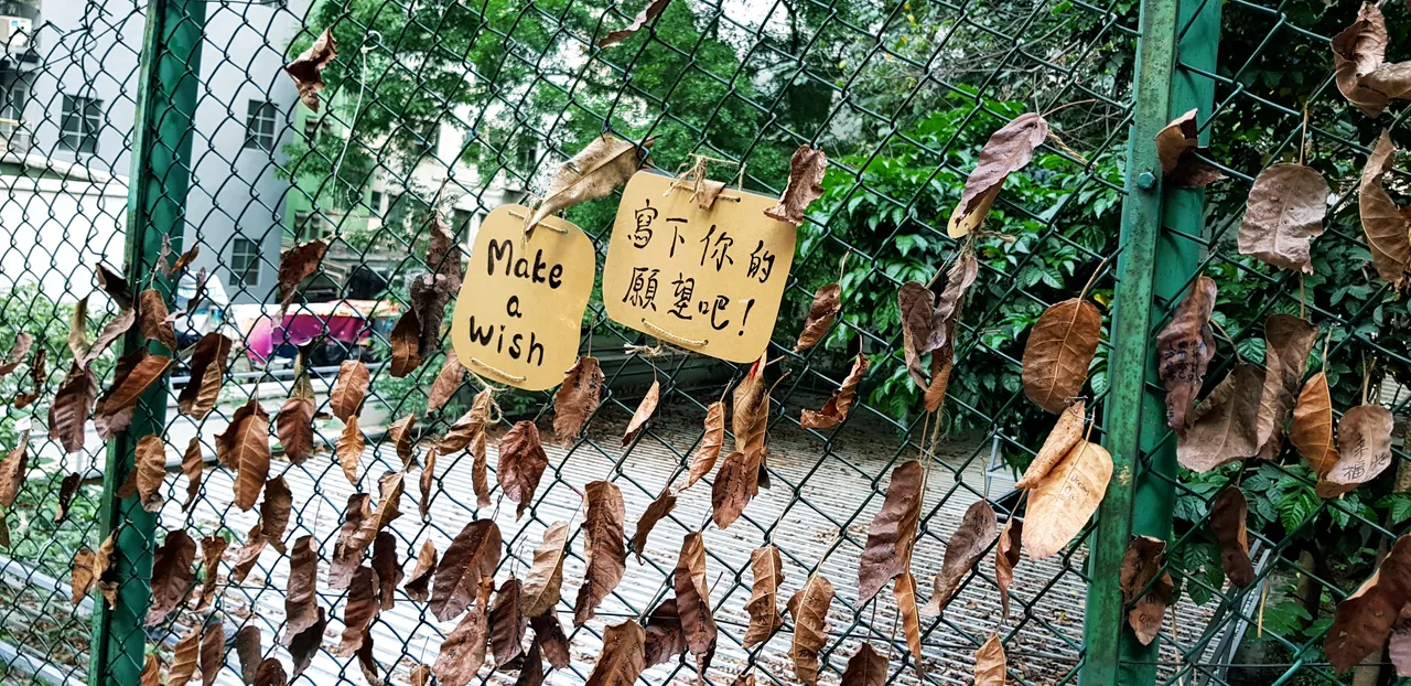 20180909_131454.jpg