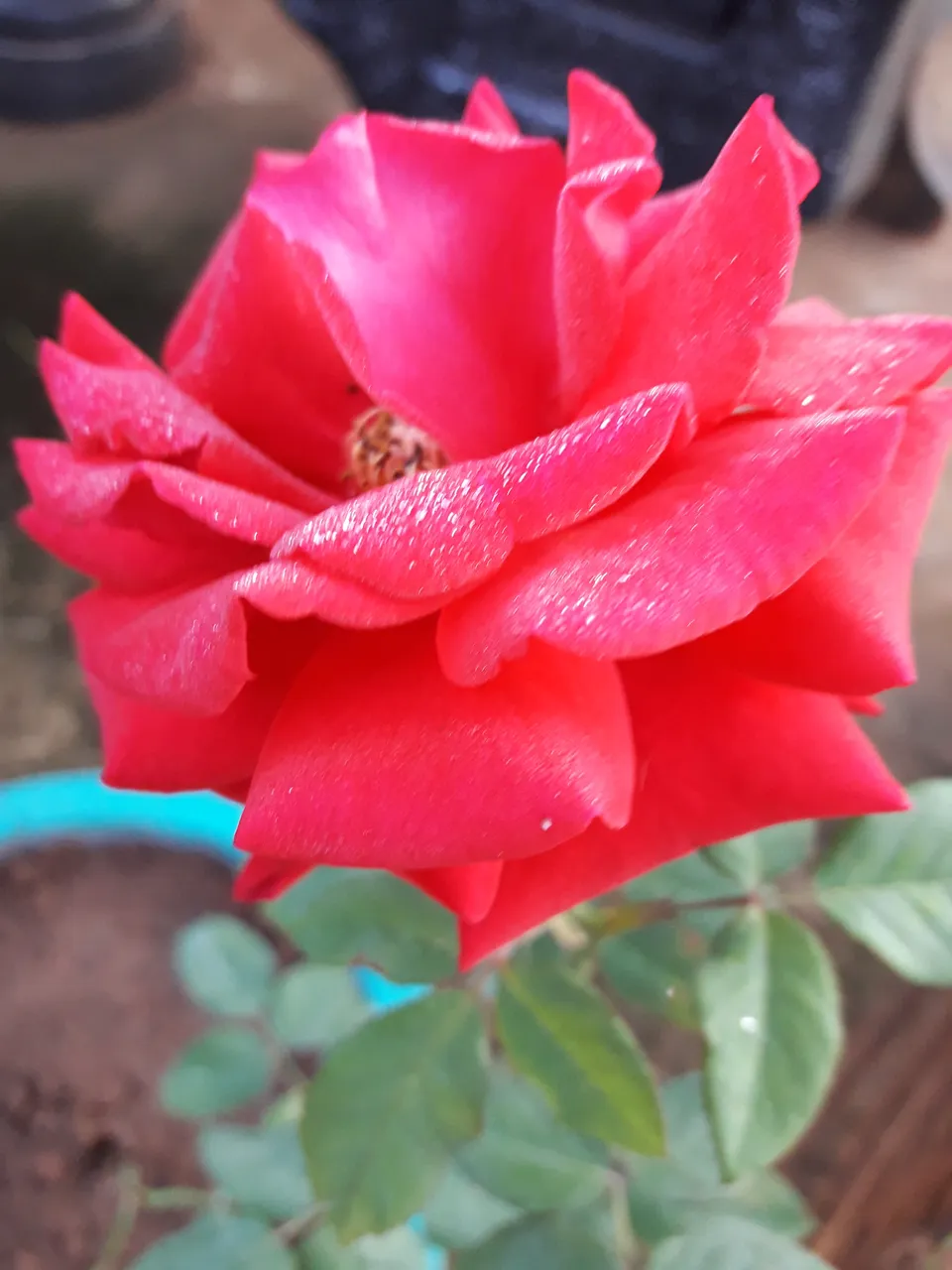 20180510_060827.jpg