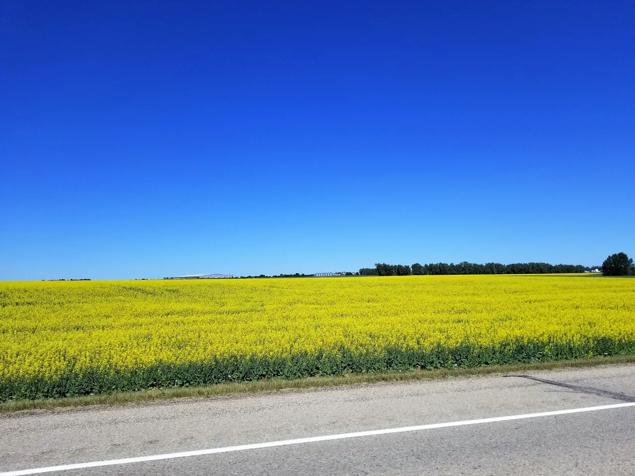 20180709_112158.jpg