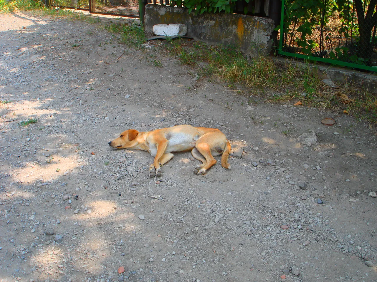 DSC01742-222222.jpg