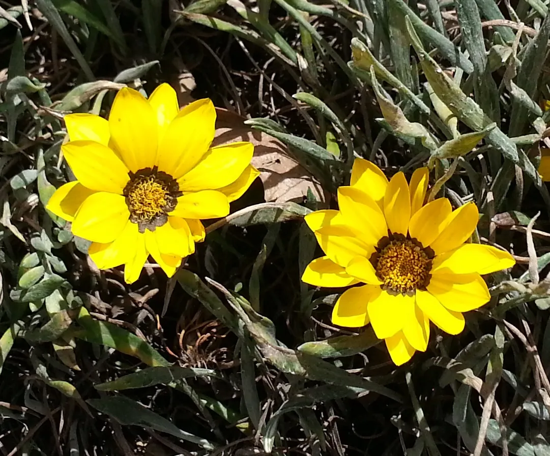 20180706_115720.jpg