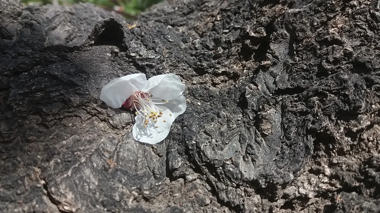 20190323_123104.jpg