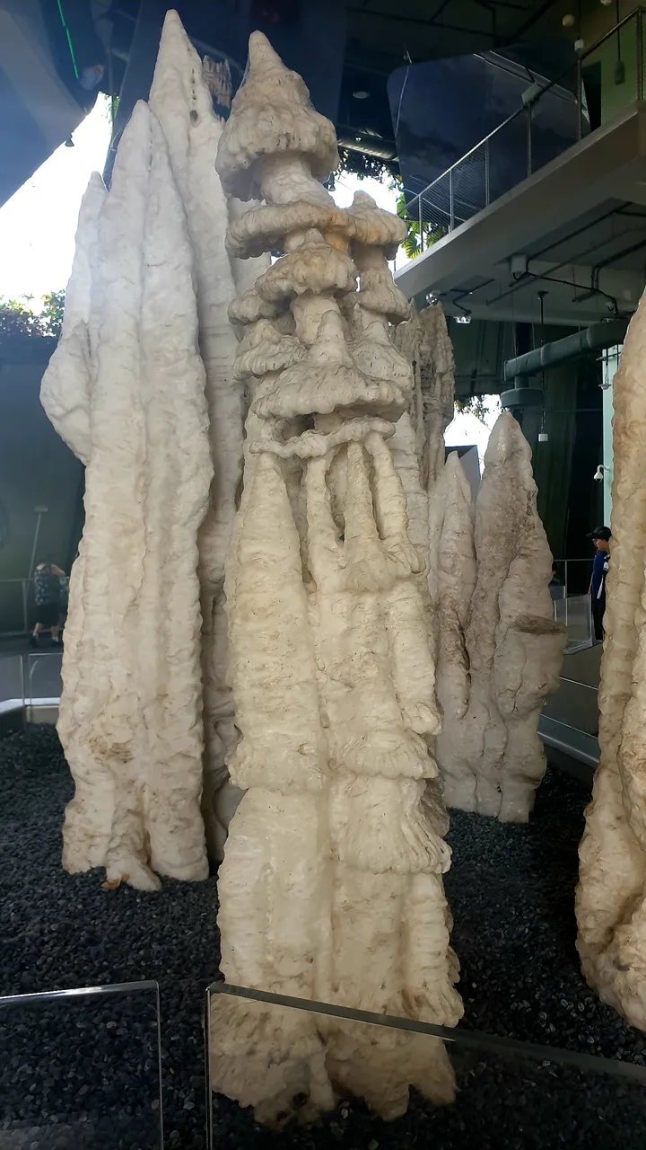 20190823_103916.jpg
