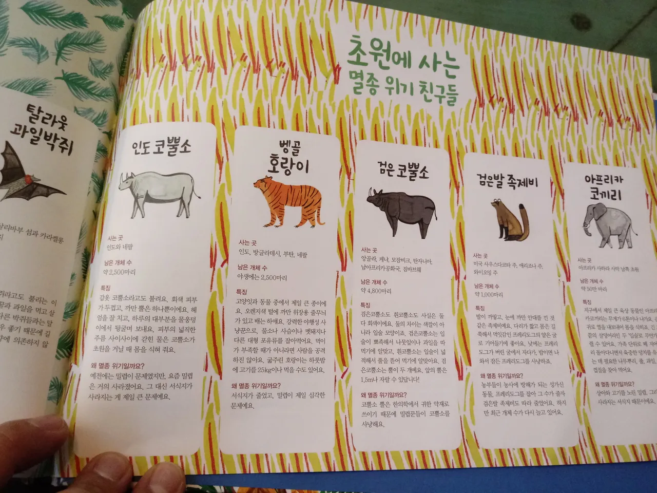20181230_161655.jpg