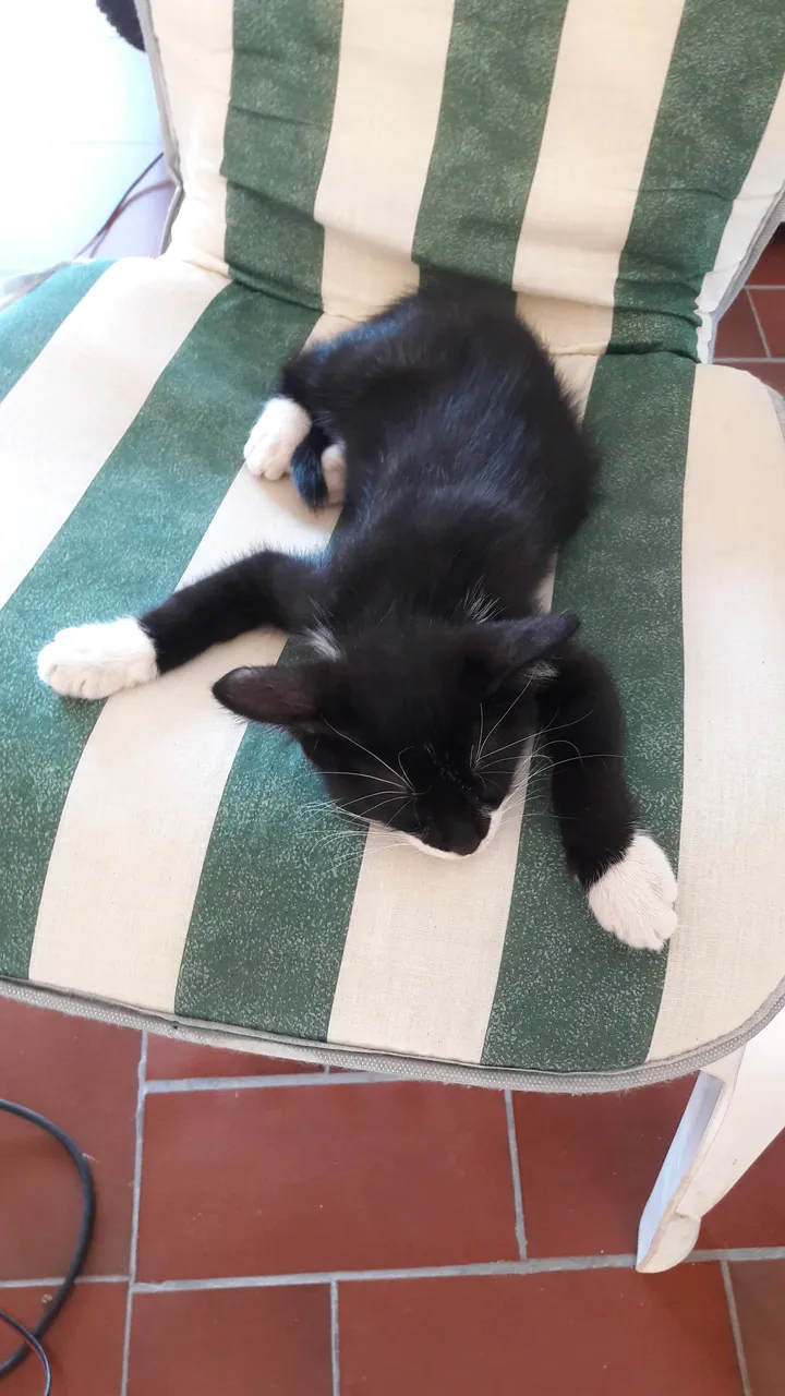 20170905_173457.jpg