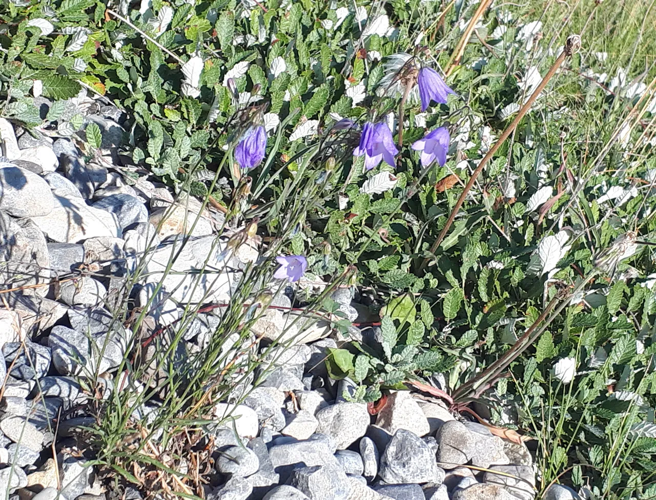 20180902_180925.jpg