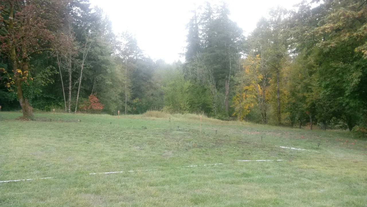 20181010_104516.jpg