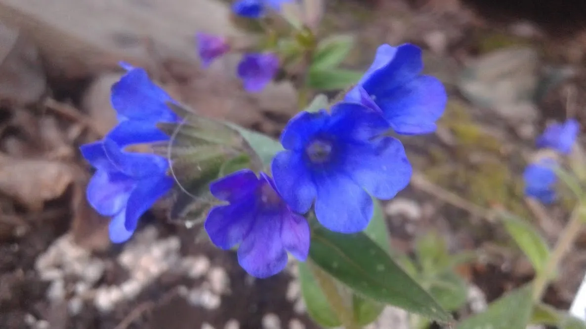 20190302_161452.jpg
