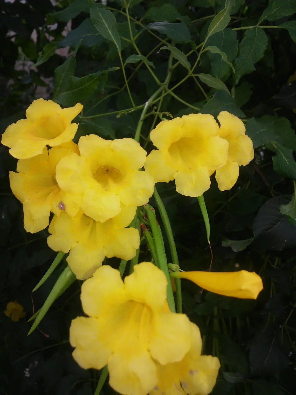20181209_102713.jpg