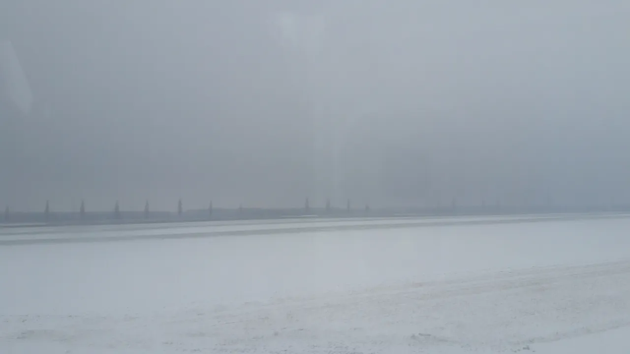 20181201_132942.jpg