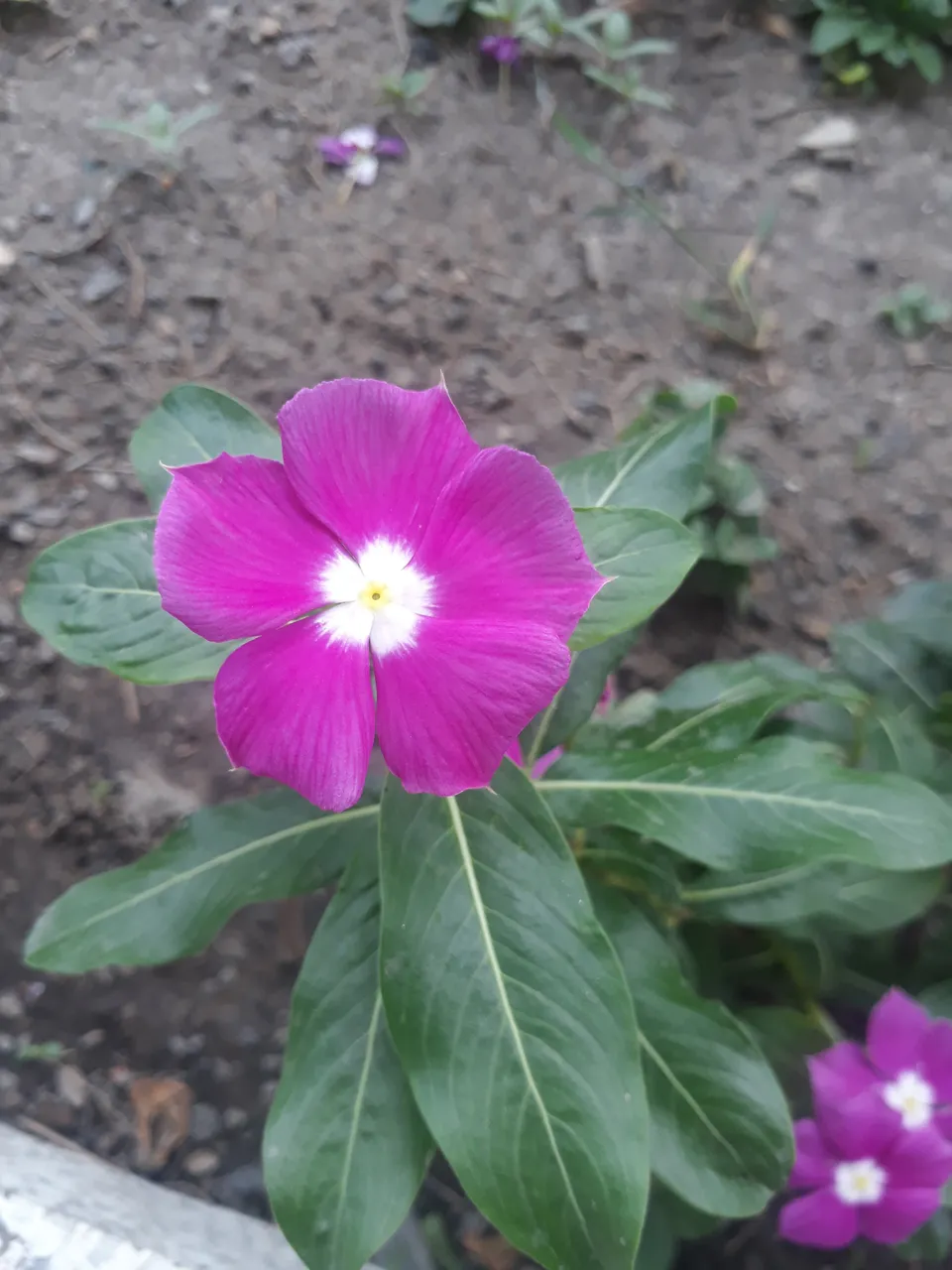 20180501_150303.jpg