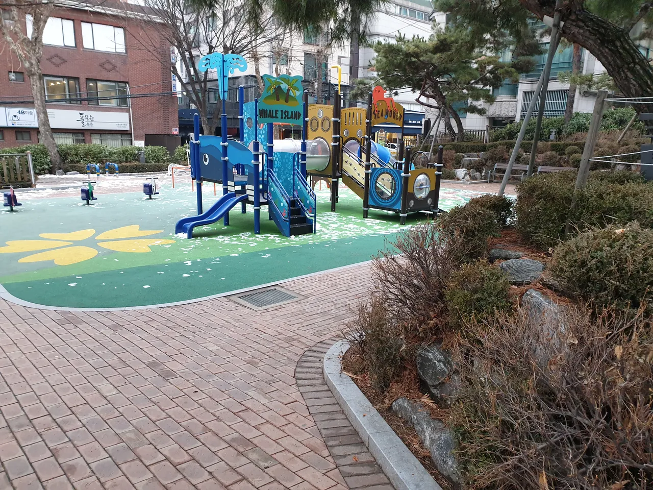 20190220_074344.jpg