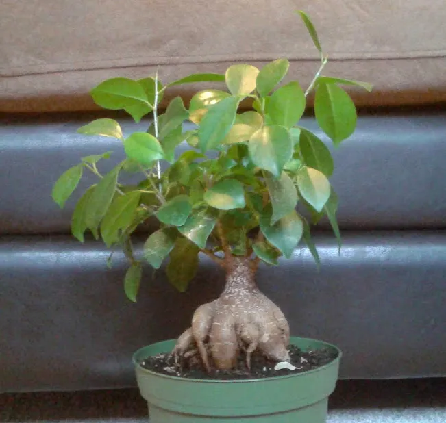 20181228_140121.jpg