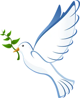 dove-41260__340.png