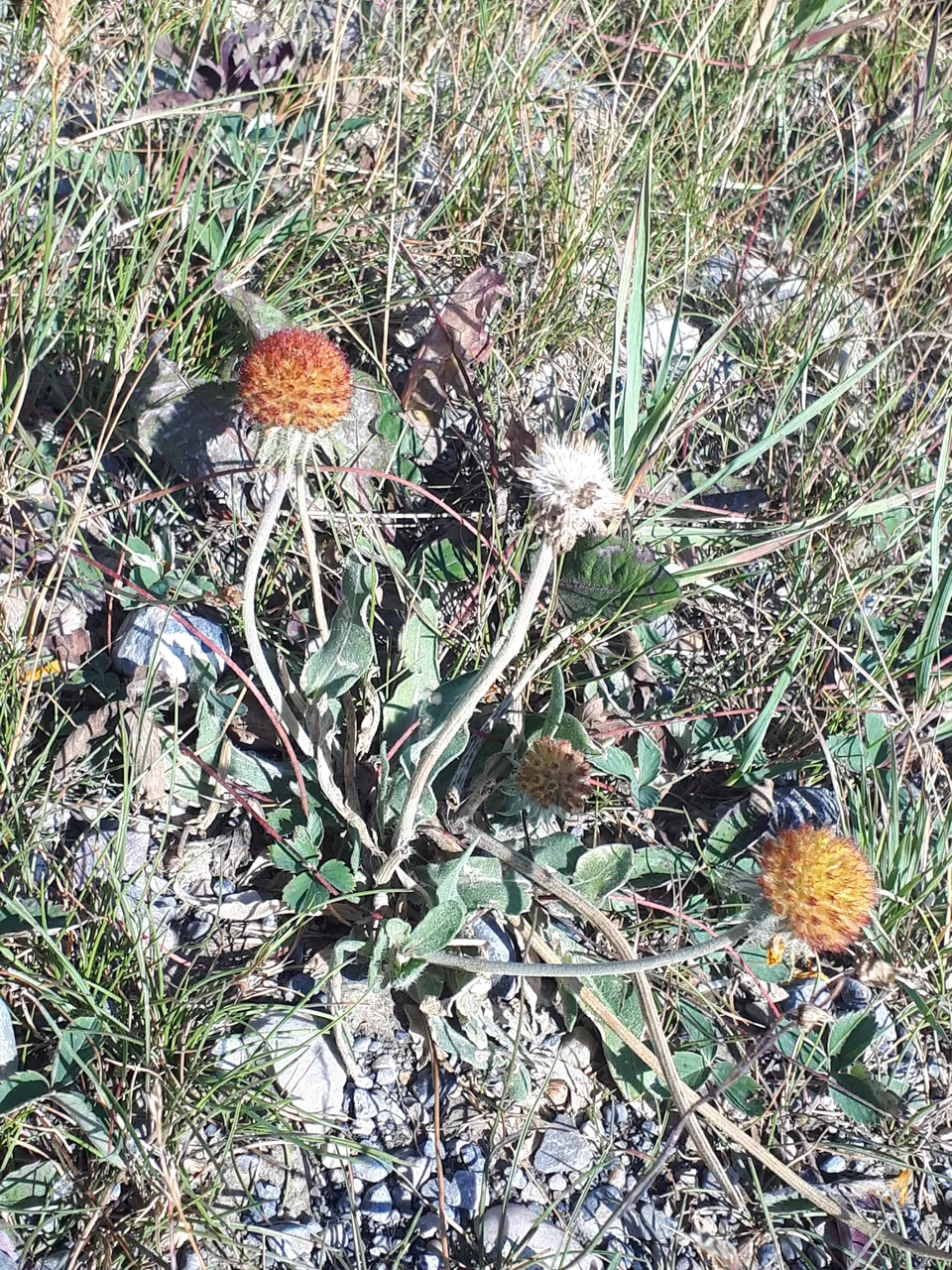 20180902_180950.jpg