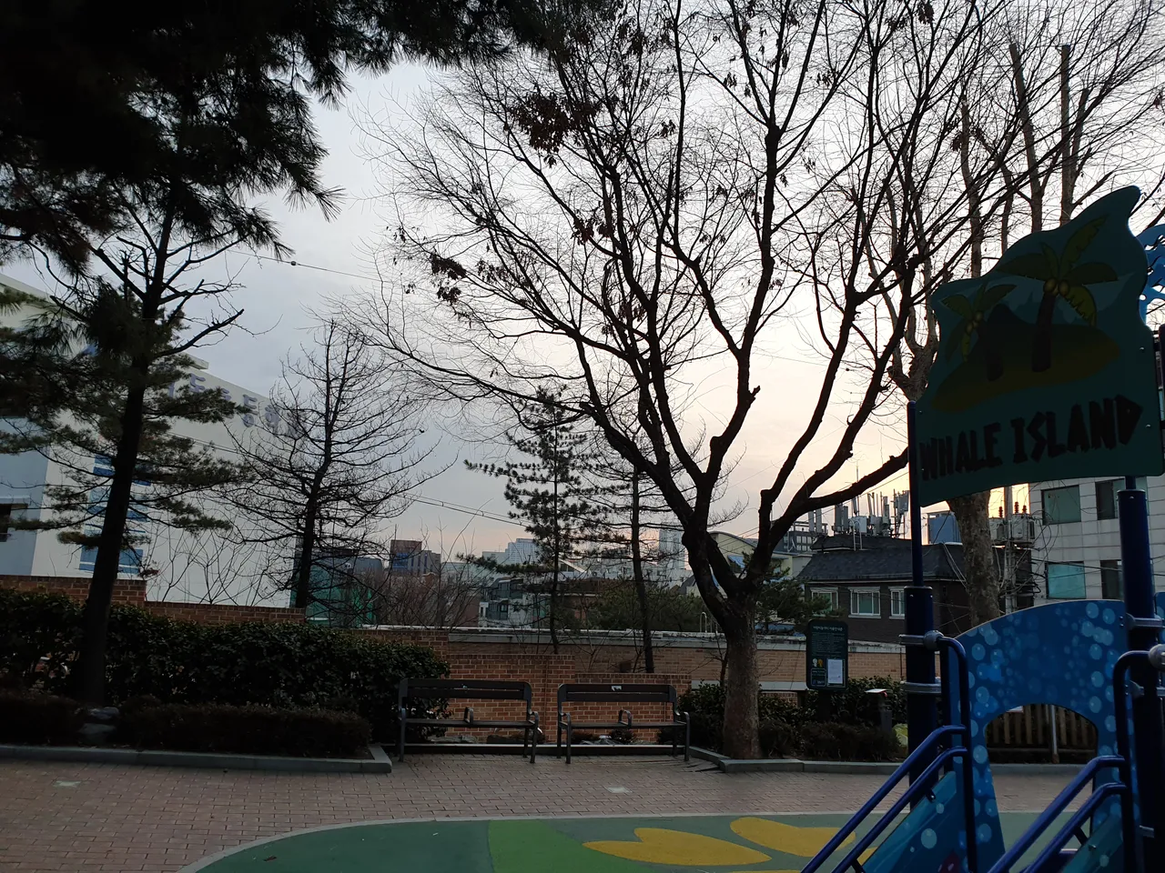 20190205_074226.jpg