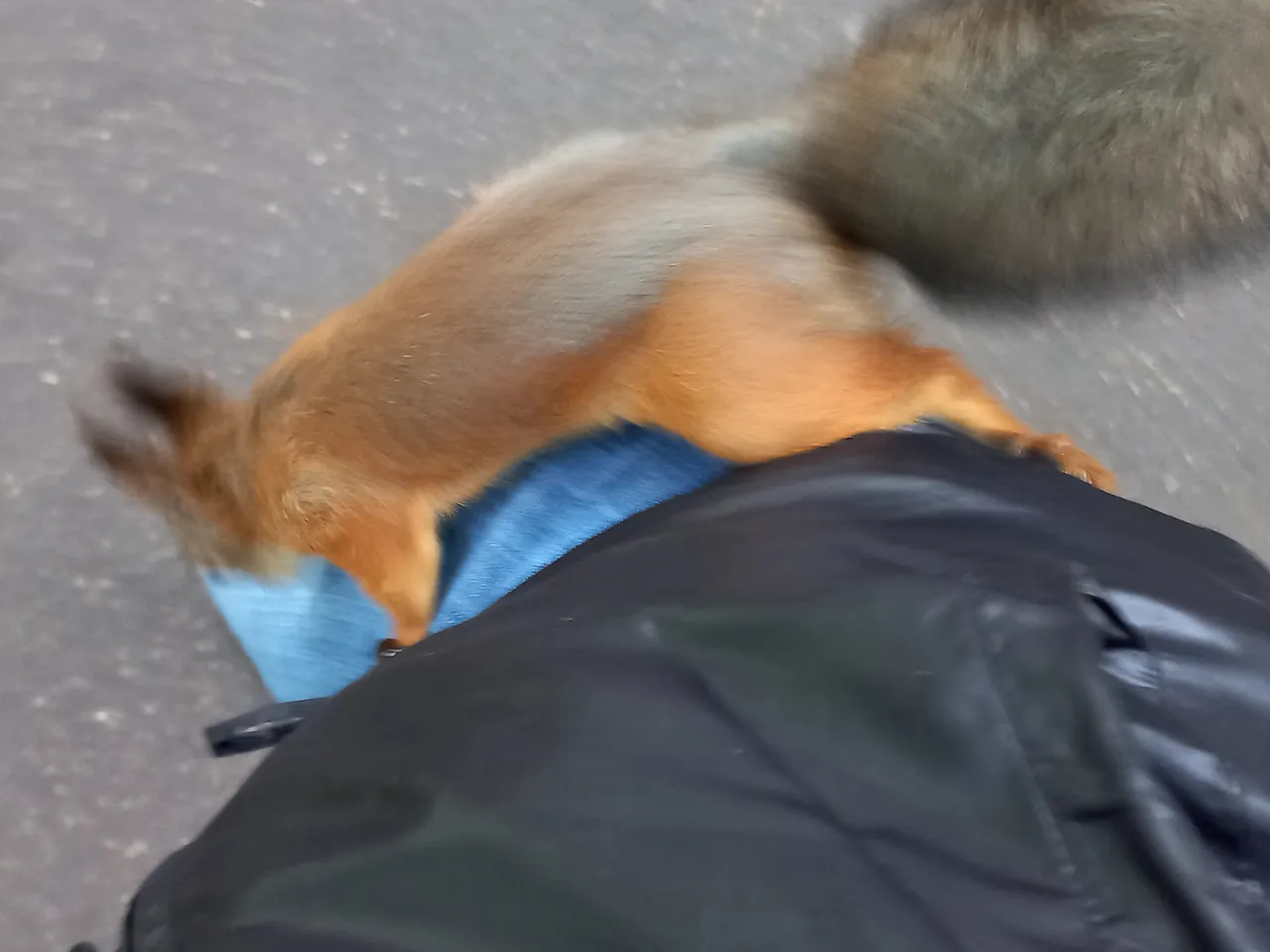 20220922_114610.jpg