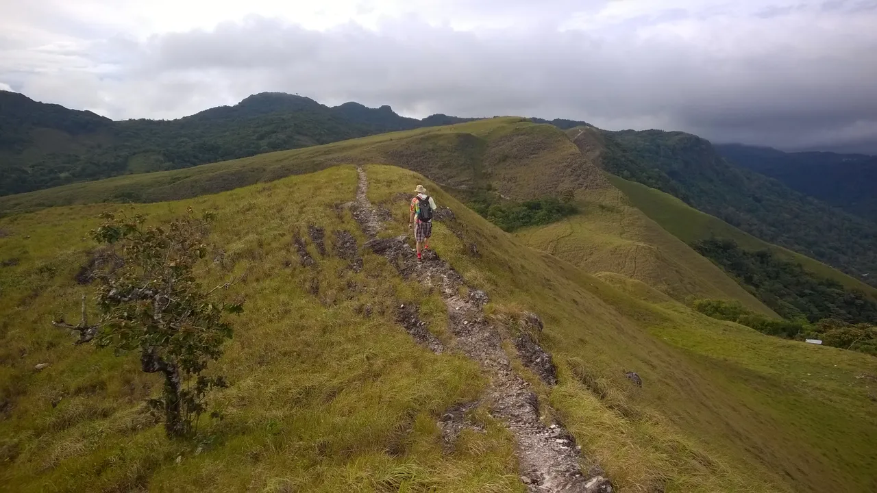 WP_20180505_076.jpg