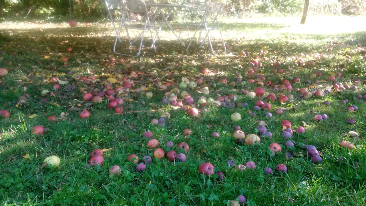 20181010_150530.jpg