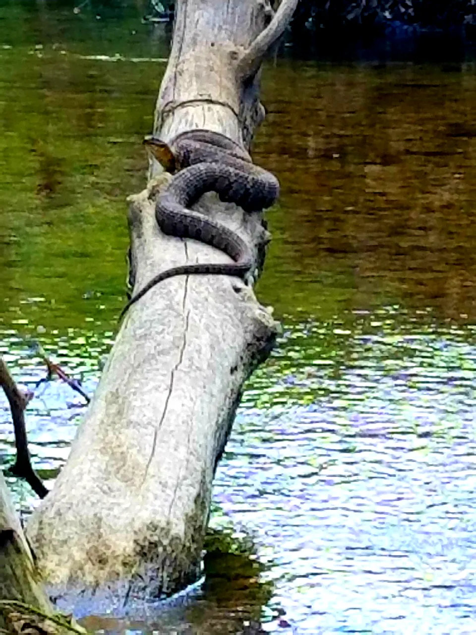 20180601_184707.jpg