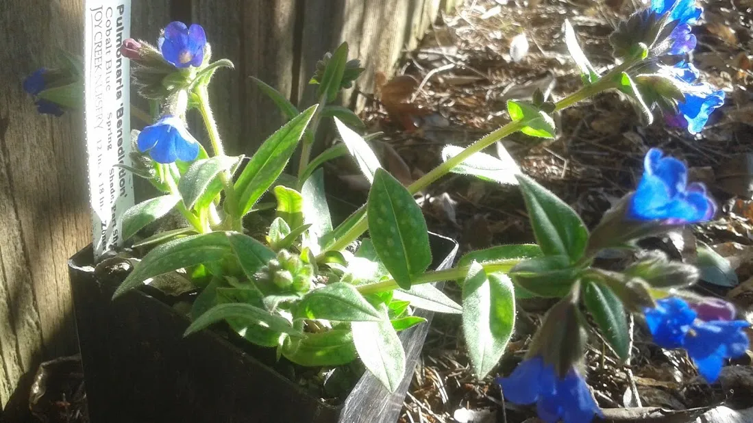 20190302_093024.jpg