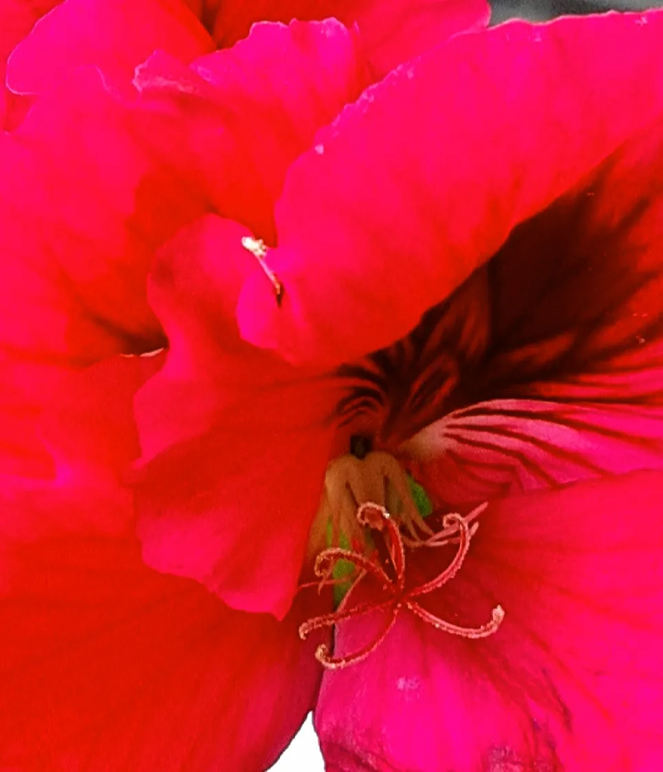 20190930_122418.jpg