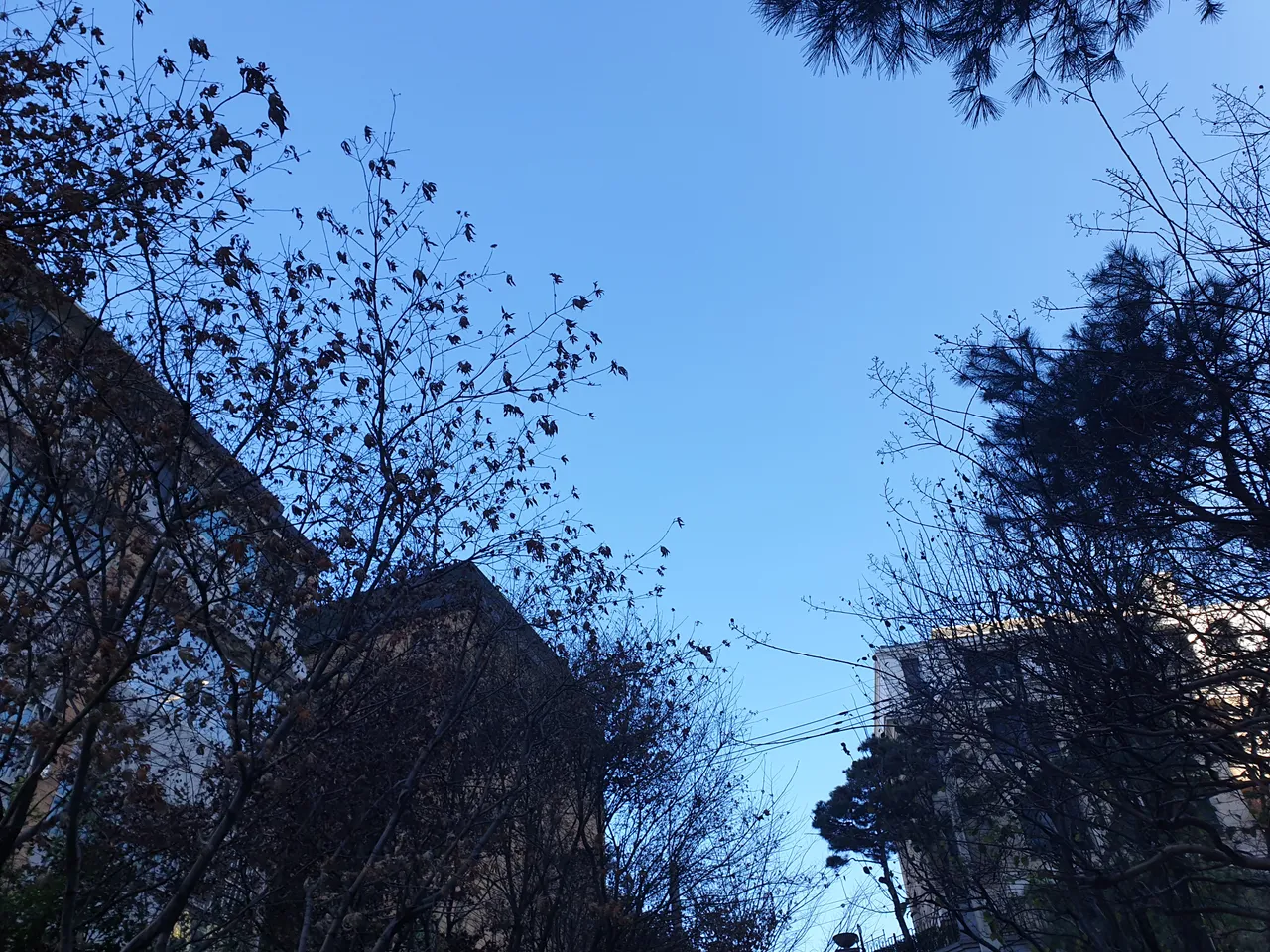 20191212_135225.jpg